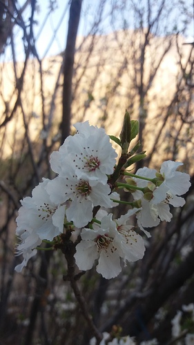 20180326_173500