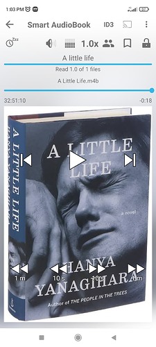 Screenshot_2022-08-13-13-03-14-731_ak.alizandro.smartaudiobookplayer