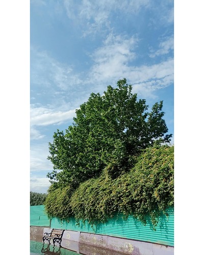 InShot_20220507_201918256