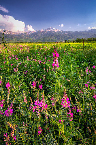 _MG_6414-copy