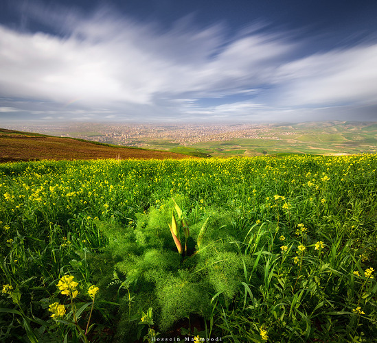 _MG_6589-copy