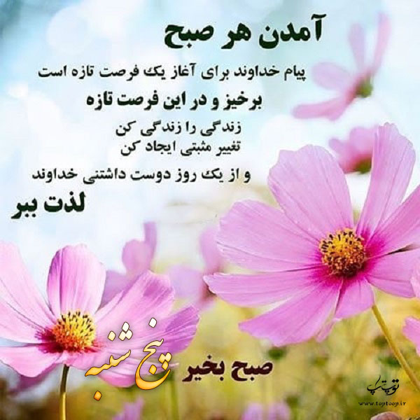 bb3f82d73476aeffb93dd62772fe4dd1