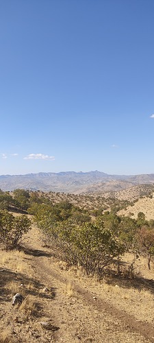 IMG_20211107_125418