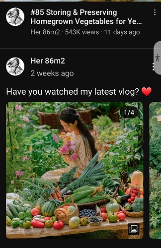 Screenshot_20221114-192555_YouTube