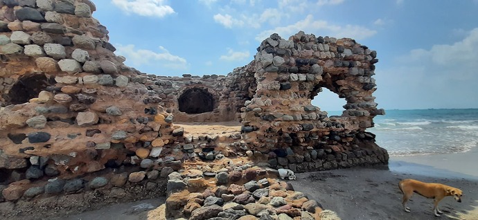 ۲۰۲۴۱۰۰۶_۱۰۱۷۱۷