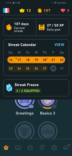Screenshot_20220128_232853_com.duolingo