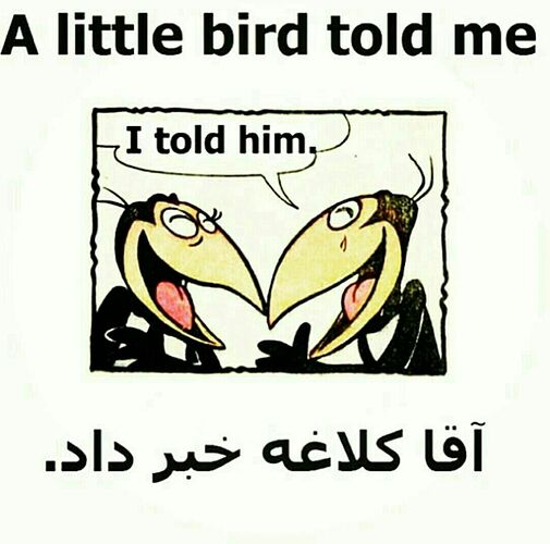 814433324_37598
