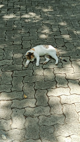 IMG_20230812_110736