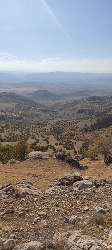 IMG_20211107_134608
