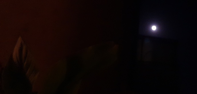 ۲۰۲۲۰۸۱۱_۲۲۳۴۰۸