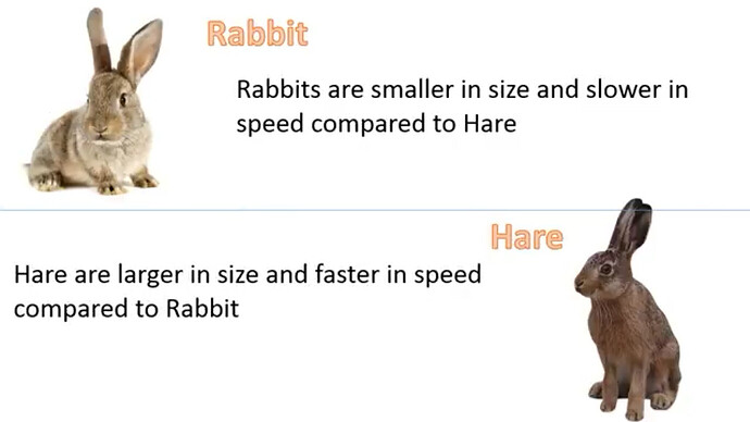 317c86dbb38b6e198ee9863e3e72659884cad710_2_1380x776