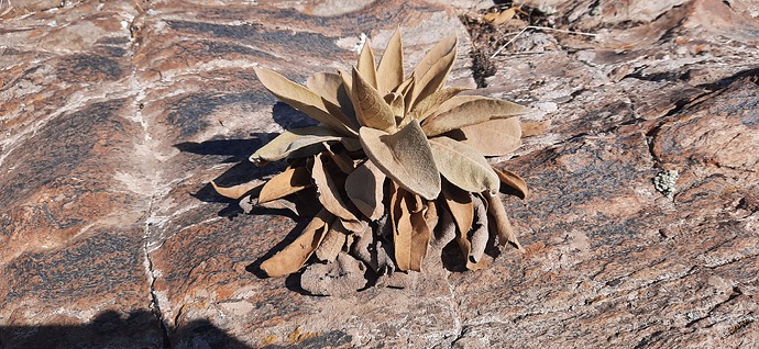 ۲۰۲۱۰۲۱۲_۱۱۴۴۲۵