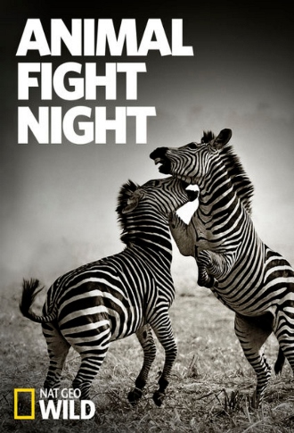 Animal_Fight_Night_Poster